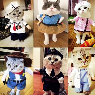 Pet transformed cat dress Teddy dog funny dress English short kitten upright dress net red dog clothes package mail