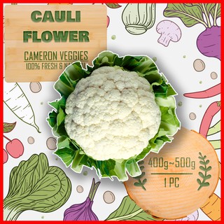 🌶️🍅CHINA CAULIFLOWER🥬🥕KUBIS BUNGA CHINA🥦🧅中国花椰菜🍆🍄❤️400g-500g❤️⛰️100% FRESH DAILY FROM CAMERON HIGHLAND⛰️ (1)