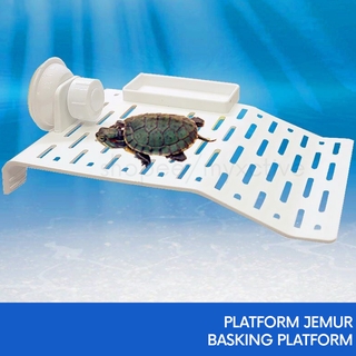 Dari Selangor - Turtle Tortoise Basking Platform Drying Shell Pelantar Jemur Kering Penyu Kura-Kura 乌龟台