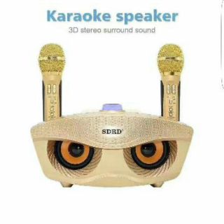Dual Wireless Microphone Bluetooth Speaker Mobile Karaoke Speaker Stereo (1)