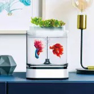 Youpin Geometry Mini Lazy Fish Tank Pro USB Charging Self-cleaning Aquarium with 7 Colors LED Light