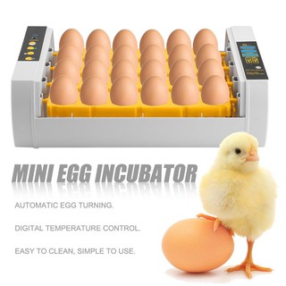 24 Eggs Incubator For Chicken Poultry Quail Turkey Automatic Egg Turning Farm Hatcher Temperature Control (1)