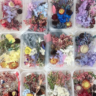 🌟Ready Stock🌟Random Color Dried Flower Candle Handmade Making Aromatherapy Wax Piece Special Dried Flower DIY Material (1)