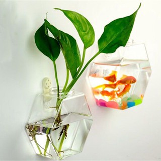 ☎SL Creative Wall Hanging Transparent Glass Vase Fish Tank Living Room Home Deco