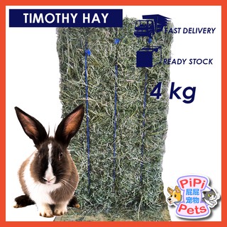 Premium USA Timothy Hay (4 kg) for Rabbits / Guinea Pigs / Chinchillas / Small Animals