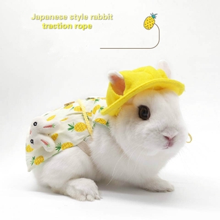 Pet bunny clothes, leash, rabbits, kittens, cats, lop-eared rabbits, accessories, costumes, travel photos