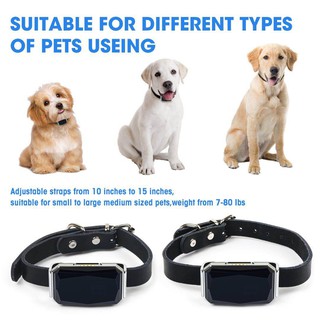 Diliberto waterproof pet GPS tracker G12P with free leather collar support APP+Web+SMS tracking system for dog/cat