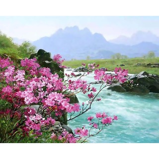 Vanker-Home Decor Canvas Paint By Number Kit Oil Painting DIY Romantic Flower