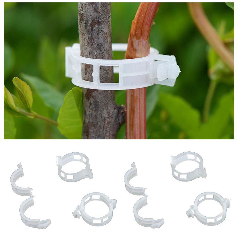 50 Pcs Reusable Plastic Garden Vine Vegetables Tomatoes Plant Support Clips / Clamps Makes Hanging Vegetables to Grow Upright
