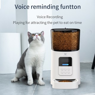 6L Smart pet feeder Automatic pet feeder cat pet timing feeding machine dog intelligent