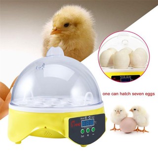 Automatic 7 Eggs Turning Incubator Chicken Hatcher Temperature Control Mesin Mengeram Menetas Telur Ayam Puyuh Burung