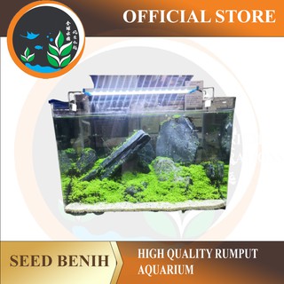 High Quality Seed Benih rumput akuarium~~Aquascape Tumbuh Senang!!! Tumbuh cepat lebat