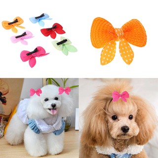 10pcs/set Dog Cat Hairpins Pet Butterfly Shape Bows Headdress Hair Clip