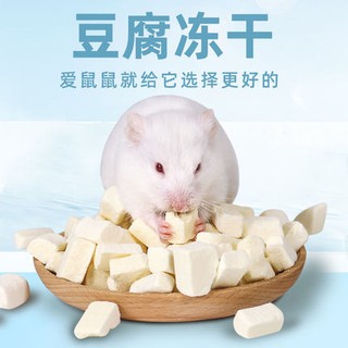 Freeze Tofu Snack 20g - Hamster Hedgehog Sugar Glider Rabbit Treat Pet DriedFood
