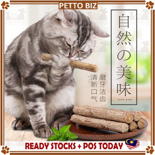Training cat pet kitten snack teaser stick for teeth care 木天蓼磨牙猫零食 Pet Snack Teeth Bite Dental Stick Mu Tian Liao (1)