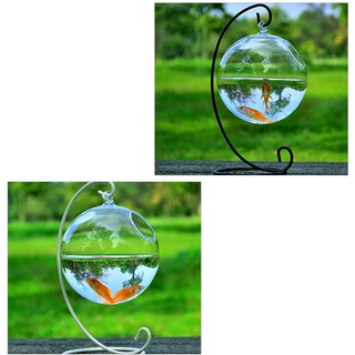 SUN55 Home Deco Hydroponic Wall Hanging Bubble Aquarium Fish Glass Vase Tan (1)