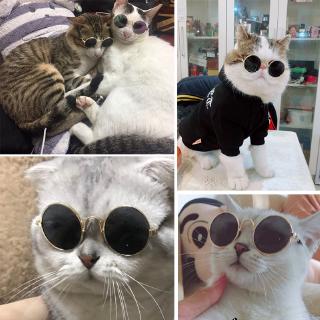 Pet Glasses Mini-cat Sunglasses Teddy Dog Personality Trend Sunglasses Pet Accessories
