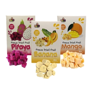 Rush Baby Fruit Melt 8M+ 10g | Fruity Real Fruits | Banana Mango Pitaya / Makanan Bayi 8 Bulan