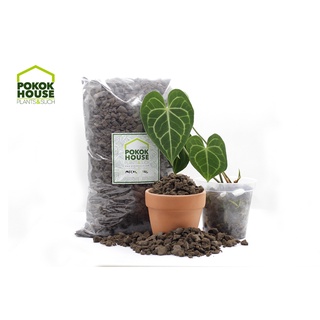 Midorie soil-free pafcal chips (200gm/500gm/1kg) - for plant germination or propagation