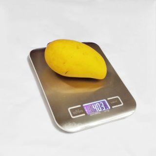 Stainless Steel Digital Kitchen Scale 5000g/1g Penimbang Digital Weighing Scale