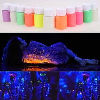 DIY Graffiti Paint Luminous Acrylic Glow in the Dark Pigment Party Wall 13 Color elle