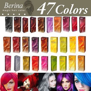 READYSTOCK MCO = Berina Hair Color Dye Highlighter Set pewarna Rambut Kekal Berina