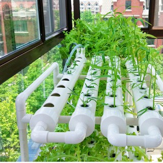 Allinone★Hydroponic Piping Site Grow Kit Horizontal Flow DWC Deep Water Culture System