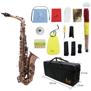 ★Professional Red Bronze Bend Eb E-flat Alto Saxophone Sax Abalone Shell Key Carve Pattern with Case Gloves Cleaning Clo