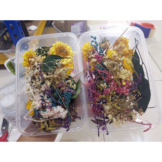 1 Box Colorful Real Dried Flower Plant Epoxy Resin RANDOM COLOR