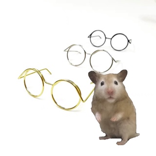 Small glasses for hamster photo shooting