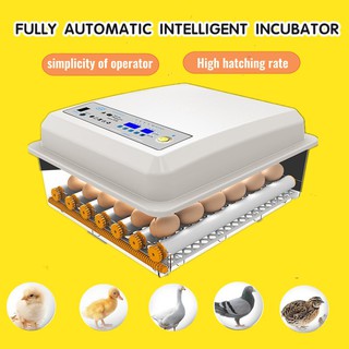 220V/12V 36/64/96 Eggs Incubator Thermostat Egg Incubator Digital Automatic Egg Hatching Machine Egg Incubator For Duck Eggs