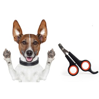 🐶 Dog 🐶 😸 Cat 😸 steel nail clippers pet animal dog cat toe trim