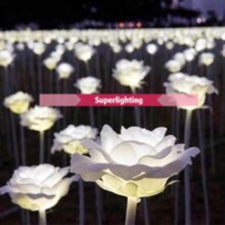 30pcs （1package =30pcs）Outdoor 12V Power Tulip Flower Rose LED Light Yard Garden Lawn Path