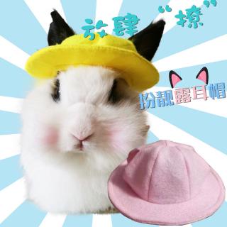 Pendulous Ear Rabbit Headdress Pet Rabbit Lovely Adornment Dress Hat Felt Dress Hat Leakage Ear Photo Accessories