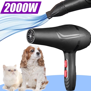 Dailystore High Power Pet Hair Dryer Quick Health Care Blowing Hair Dog Cat Grooming