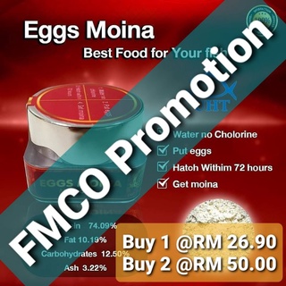 UHT Eggs Moina (100,000 Eggs) Buy 2 for RM50 is back due to over whelming respond... (RM50 for 2) (1)