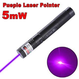 10mile Military Purple 5mw 532nm Laser Pointer Pen Light Visible Beam Burning