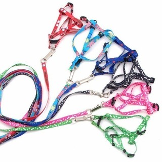 Print Rope Small Pet Dog Cat Adjustable Rope Lead Leash Harness Chest Strap 1CM (1)