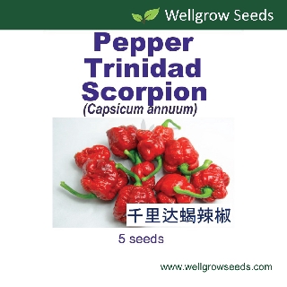 Pepper Trinidad Scorpion (5sds) 千里达蝎辣椒 Benih Cili