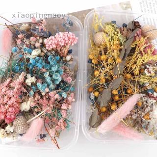 Dried Flower Candle Handmade Making Aromatherapy Wax Piece Special Dried Flower DIY Material random Color