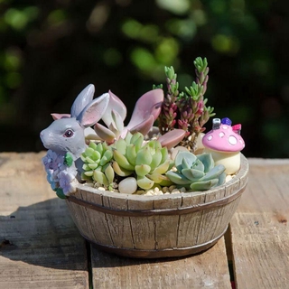 meaty pot rabbit animal doll micro-bonsai micro landscape garden decoration