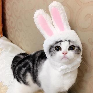 Cute Cat Bunny Rabbit Ears Hat Cap Pet Cosplay Costumes for Cat Small Dogs Party