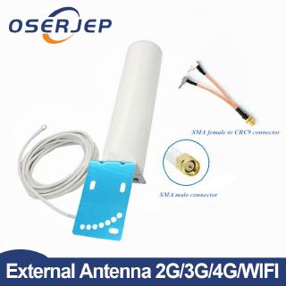 5m WIFI 3G 4G Lte Outdoor Antenna 12dbi Antenna With CRC9/TS9/SMA Connector