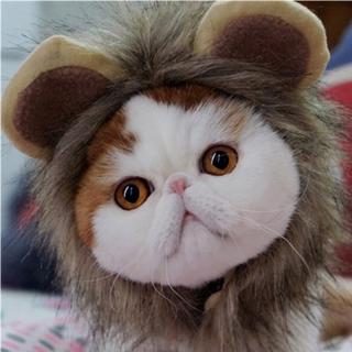 Lion Headgear Headdress Wig Hat Pet Dog Cat Cat Headband