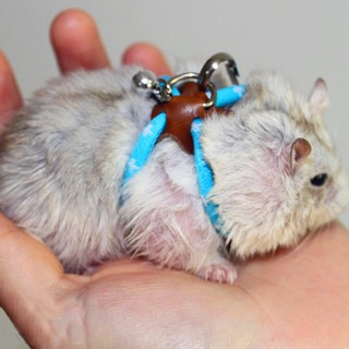 【HW】Pet Rat Mouse Harness Adjustable Rope Ferret Hamster Finder Bell Leash Lead