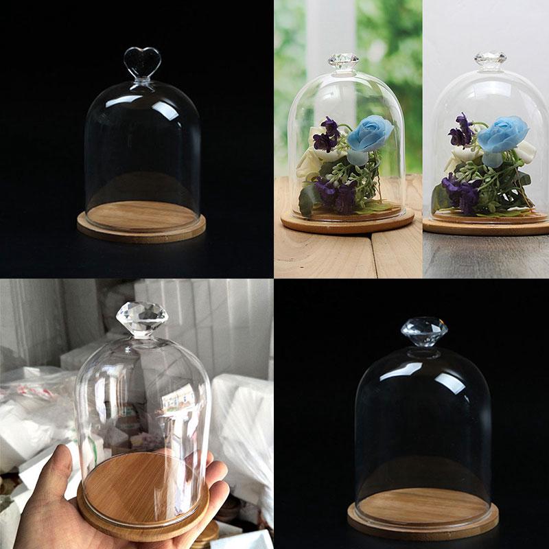 Clear Glass Display Jar Flower Preservation Vase Dome Bottle Base Home Docor