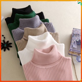 Winter Women Sweater Turtle Neck Warm Knitted Slim Elastic Soft Pullovers Tops