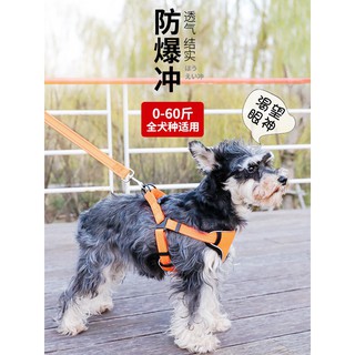 No Pull Dog Harness Set For Dogs Easy on off Pet Dog Vest For Size Small Medium Large Dog Arnes Perro (1)