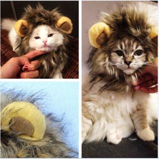 Lion Headgear for Pets Dogs Cats Cute (1)