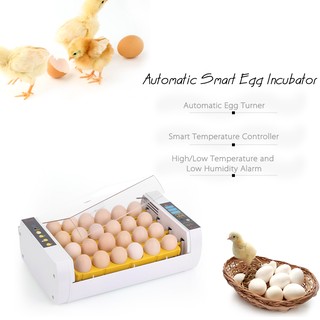 24-Eggs Intelligent Automatic Egg Incubator Temperature Control Hatcher